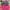Nike Vintage Streetwear Hat Pria Red Black