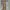 Earth, Music & Ecology Casual Wanita multicolor photo 1