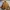 Made in USA Streetwear Futurist Denim jacket Pria tan khaki photo 6