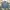 Giordano Casual Formal shirt Pria blue photo 1