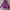 K2 Sportswear Casual Hoody Pria purple photo 2