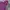 K2 Sportswear Casual Hoody Pria purple photo 3