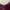 Stradivarius Luxury Minimalist Bodycon dress Wanita burgundy photo 2