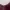 Stradivarius Luxury Minimalist Bodycon Dress Wanita Burgundy