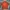 Nike Vintage Casual shirt Pria orange photo 2