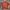 Nike Vintage Casual Shirt Pria Orange