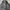 The North Face Gorpcore Casual Puffer jacket Pria black photo 4