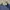 Tommy Hilfiger Sportswear Casual Windbreaker Pria navy photo 3
