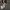 Charles and Keith Casual Shoulder bag Wanita white black photo 8