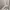 Champion Casual Sweatshirt Pria gray photo 3