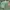 Armani	 Vintage Luxury Mini skirt Wanita green photo 4