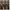 Polo Ralph Lauren Vintage Harrington jacket Pria brown photo 8