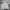 Acne Studios Streetwear Luxury Hoody Pria gray photo 1