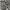 Sisley Luxury Futurist Hobo bag Wanita gray photo 2