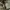 Sisley Luxury Futurist Hobo bag Wanita gray photo 5