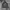 Lonsdale Streetwear Hoody Pria gray photo 1