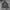 Lonsdale Streetwear Hoody Pria Gray