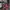 MLB Vintage Hat Pria red photo 2