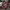 MLB Vintage Hat Pria red photo 1