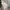 GAP Vintage Streetwear Hoody Pria white photo 4