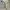 Prada Luxury Avant Garde Track jacket Wanita gray photo 2