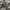 Prada Luxury Avant Garde Track jacket Wanita gray photo 5
