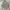 Prada Luxury Avant Garde Track Jacket Wanita Gray