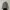Prada Luxury Avant Garde Track jacket Wanita gray photo 4
