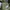 Skater Hat Pria green khaki photo 2