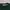 Ben Davis Y2K Casual T-shirt Pria green photo 5