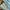 Prada Y2K Shoulder bag Wanita blue photo 5