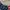 Forever 21 Indie Sweater Wanita navy cream photo 2