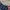 Forever 21 Indie Sweater Wanita Navy Cream
