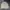 Luxury Denim jacket Pria khaki cream photo 1