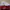 Nike Sportswear Casual Sneakers Pria white red photo 1