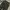 Streetwear Jeans Pria black photo 4