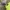 Vintage Casual Summer dress Wanita yellow photo 3