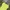 Vintage Casual Summer dress Wanita yellow photo 2
