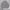 have a good time Streetwear Luxury Sweatshirt Pria gray photo 1