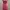 Minimalist Casual Maxi Dress Wanita Multicolor