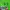 Under Armour Sportswear Casual Track jacket Pria green photo 5