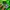 Under Armour Sportswear Casual Track jacket Pria green photo 4