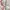 Beanpole Luxury Casual Trench coat Wanita red photo 8