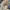 L.L.Bean Vintage Streetwear Bag Pria cream photo 6