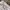 ZARA Casual Casual trouser Wanita white cream photo 3