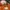 MLB Y2K Casual Hat Pria brown photo 3