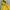 Stussy Streetwear Hoody Pria yellow photo 4