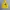 Stussy Streetwear Hoody Pria yellow photo 1