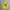 Stussy Streetwear Hoody Pria Yellow