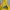 Stussy Streetwear Hoody Pria yellow photo 2